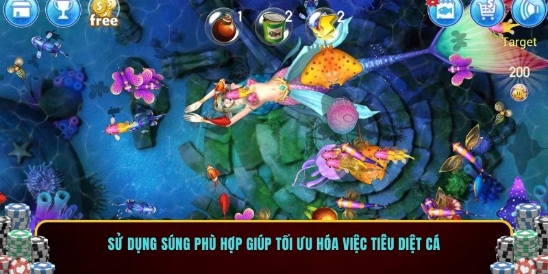 Sử dụng súng phù hợp giúp tối ưu hóa việc tiêu diệt cá