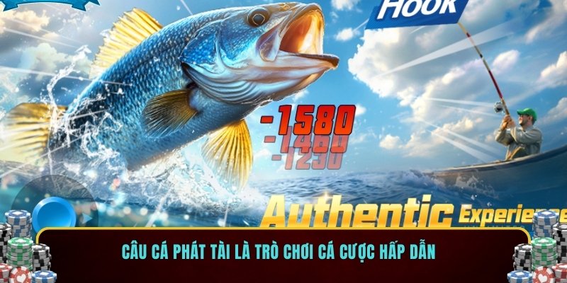 Câu cá phát tài là trò chơi cá cược hấp dẫn
