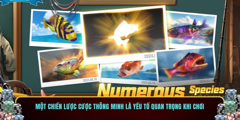 Một chiến lược cược thông minh là yếu tố quan trọng khi chơi